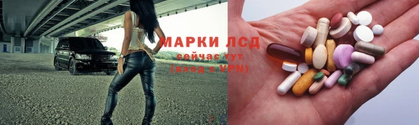 ПСИЛОЦИБИНОВЫЕ ГРИБЫ Верея