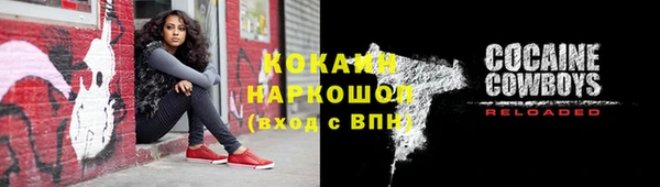 ПСИЛОЦИБИНОВЫЕ ГРИБЫ Верея