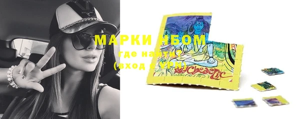 ПСИЛОЦИБИНОВЫЕ ГРИБЫ Верея
