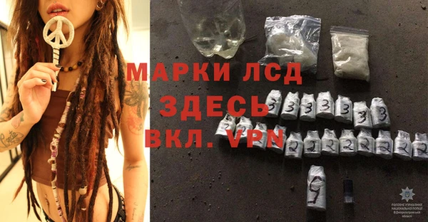 ПСИЛОЦИБИНОВЫЕ ГРИБЫ Верея
