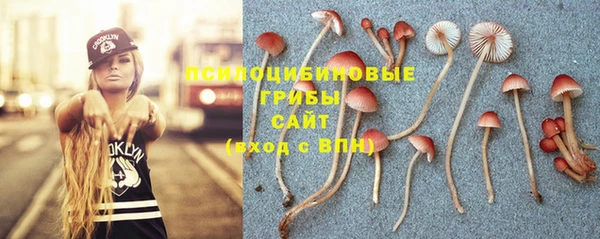 ПСИЛОЦИБИНОВЫЕ ГРИБЫ Верея