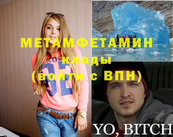 ПСИЛОЦИБИНОВЫЕ ГРИБЫ Верея