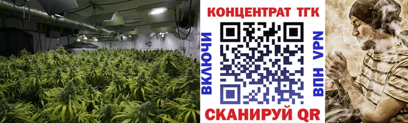 ТГК вейп с тгк  Купить где  Дмитриев 