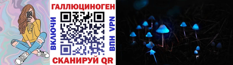 Купить где Дмитриев Псилоцибиновые грибы мицелий