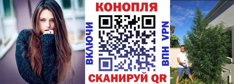 Купить  Дмитриев  Марихуана план 